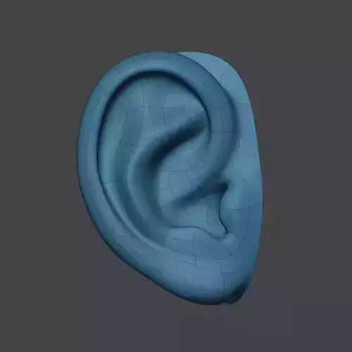 A Good Ear