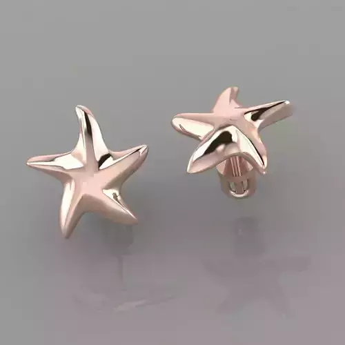 earrings  stars s0018
