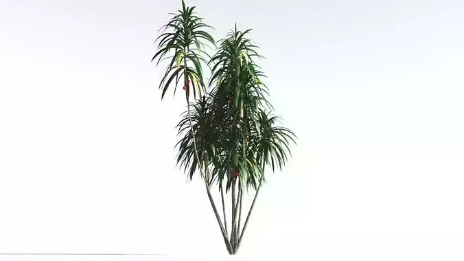 EVERYPlant Scrub Breadfruit LowPoly 4 --18 Models-- Low-poly 3D model