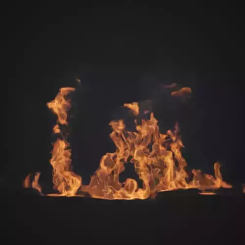 VDB Animated Fire Loop 4 3D model