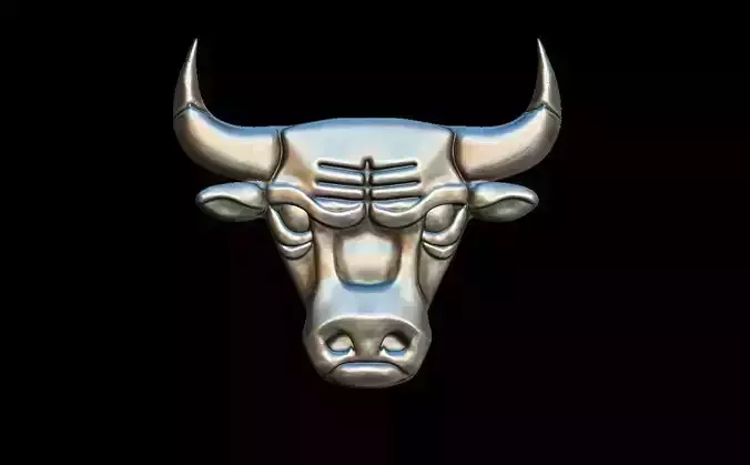 Chicago bulls