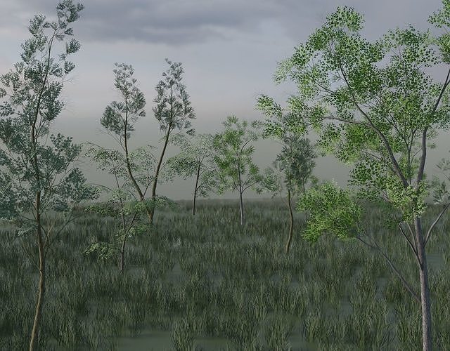 Mid to Low Poly Broadleaf Tree Collection Free low-poly 3D model
