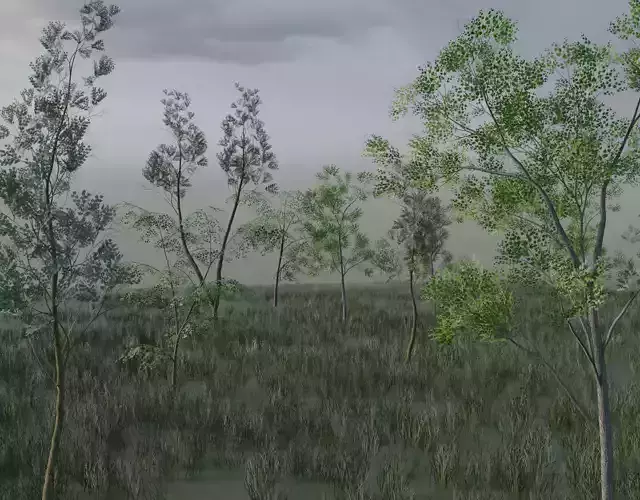 Mid to Low Poly Broadleaf Tree Collection