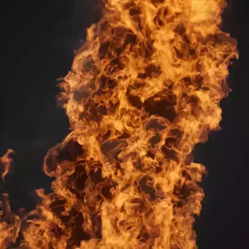 VDB Animated Fire Loop 3 3D model