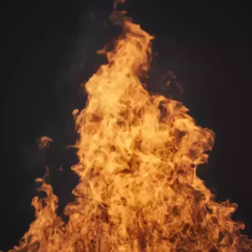 VDB Animated Fire Loop 2 3D model