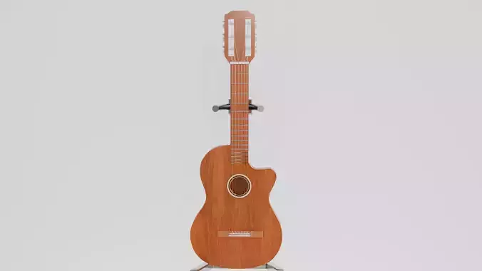 acoustic guitar