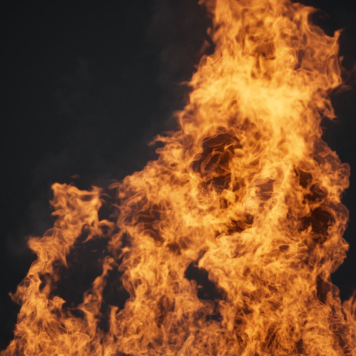 VDB Animated Fire Loop 1 3D model_2