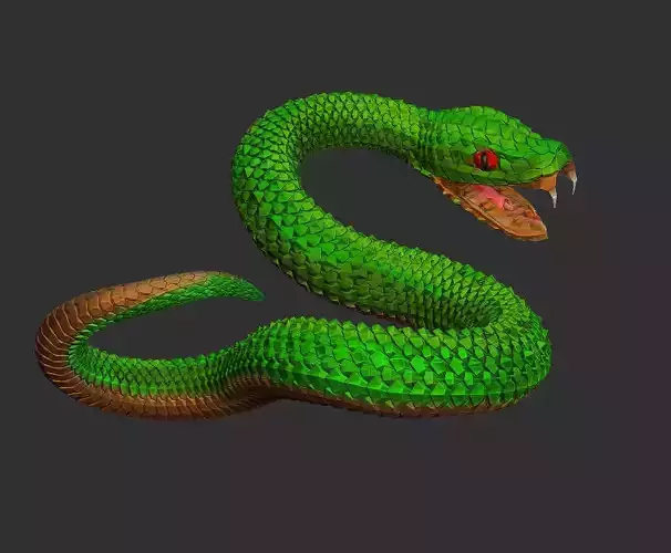 SNAKE