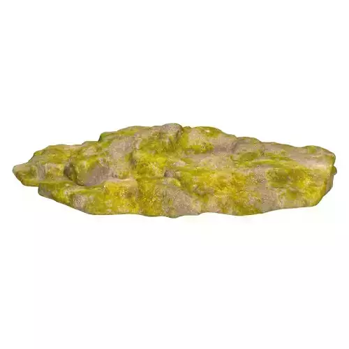 Moss Stone Rock 05