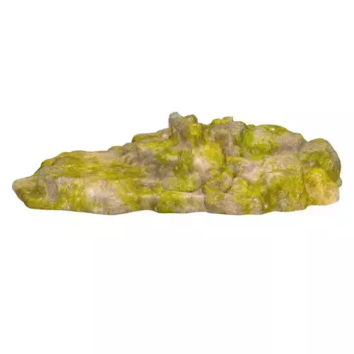 Moss Stone Rock 08