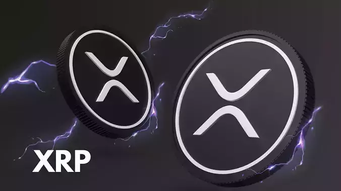 XRP Coin 3D Model