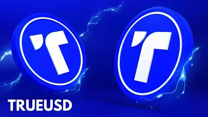 True USD 3D Model