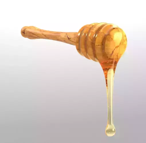 Honey Dipper Low-poly 3D model