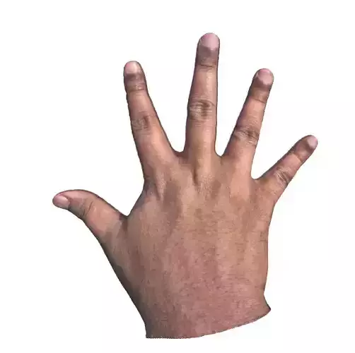 Man Hand
