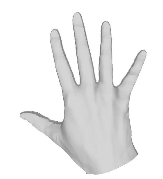 Hand LowPoly 3D model_0