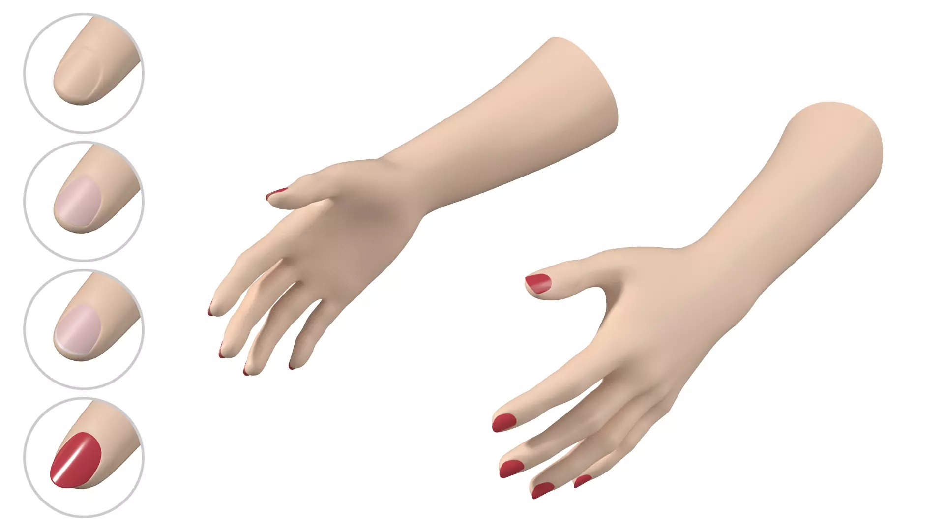 Female Hands Gesture 01 Base Mesh 3D model_0