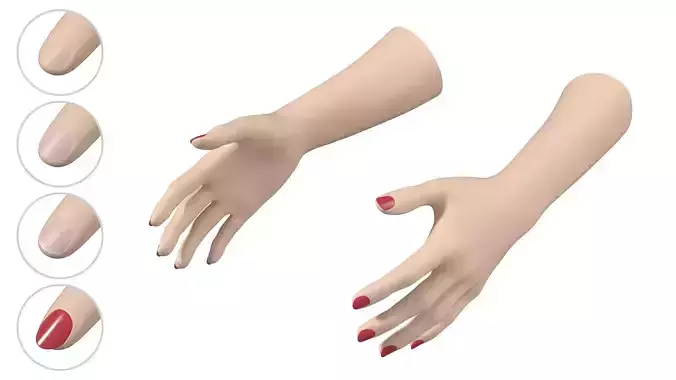 Female Hands Gesture 01 Base Mesh 3D model