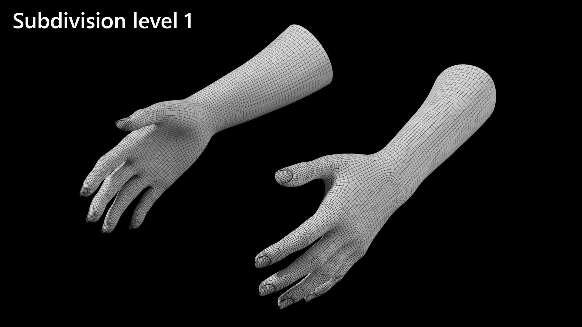 Female Hands Gesture 01 Base Mesh 3D model_27