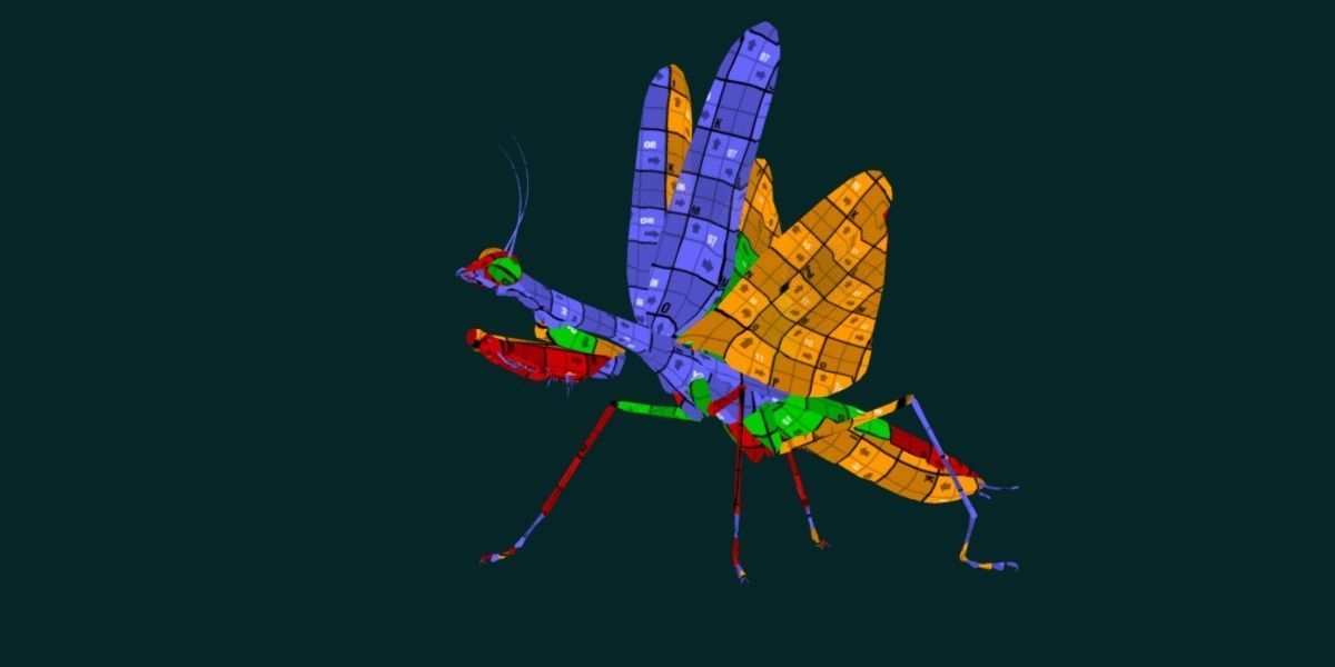 Pink Orchid Mantis Insect Low-poly 3D model_10