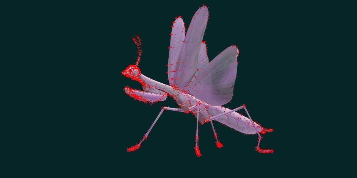 Pink Orchid Mantis Insect Low-poly 3D model_21