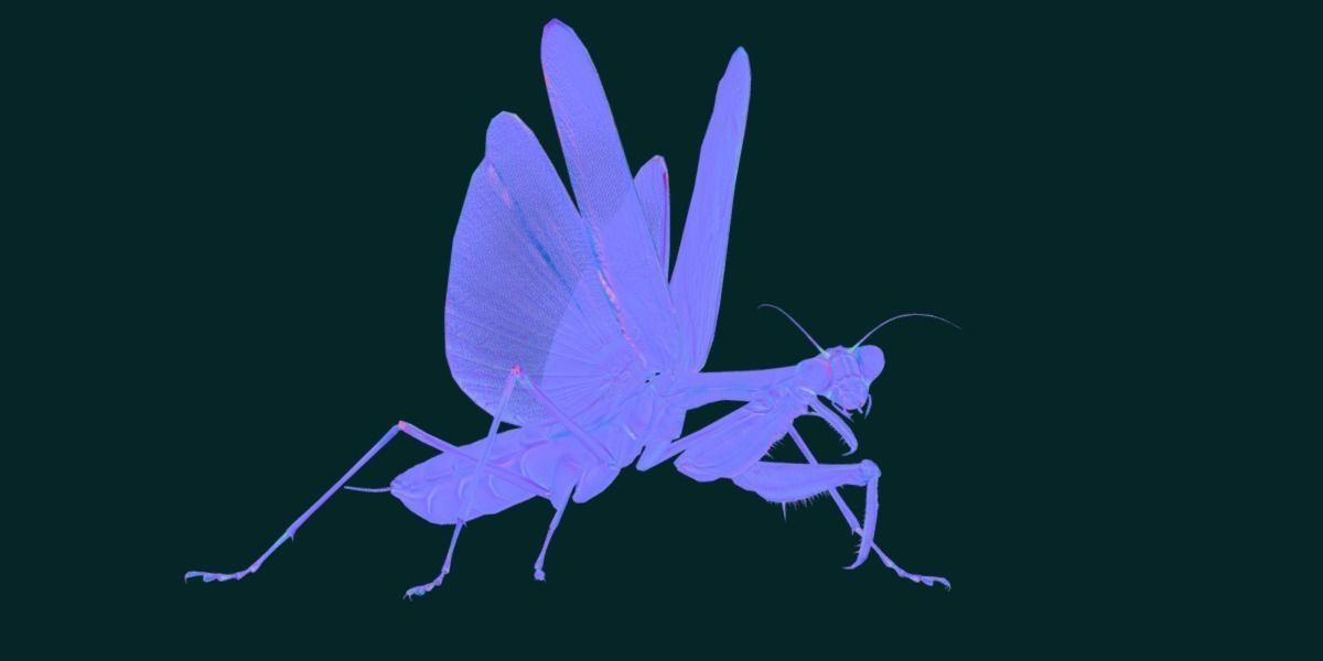 Pink Orchid Mantis Insect Low-poly 3D model_16