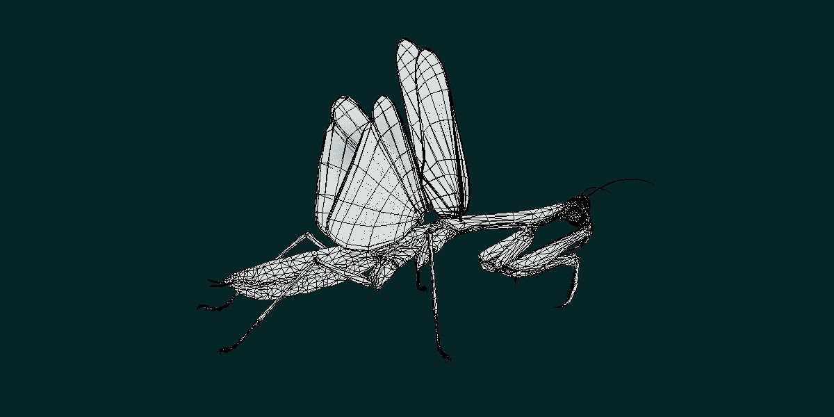 Pink Orchid Mantis Insect Low-poly 3D model_20