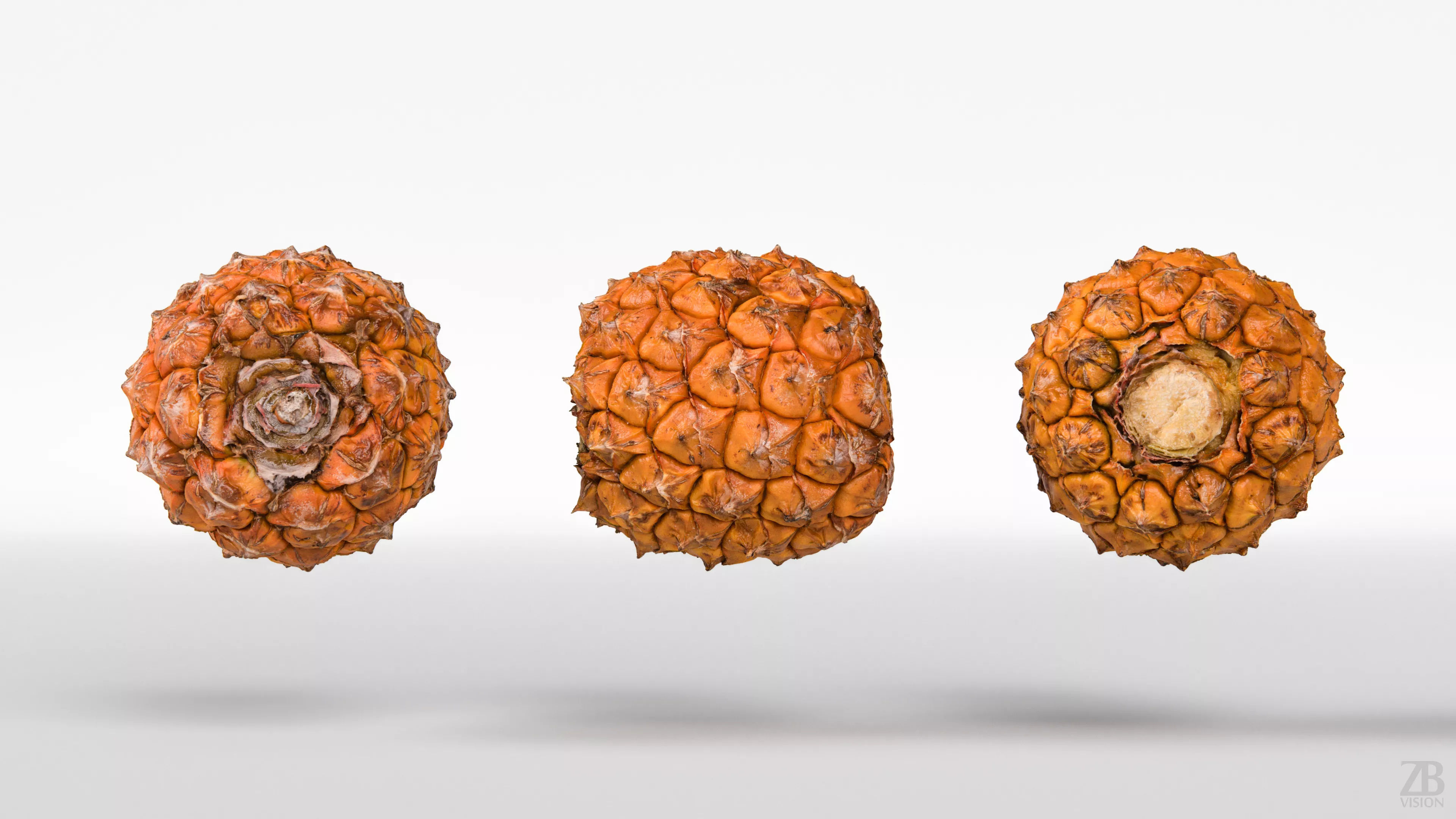 Pineapple 3D model_4