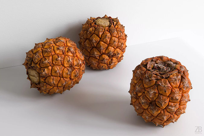 Pineapple 3D model