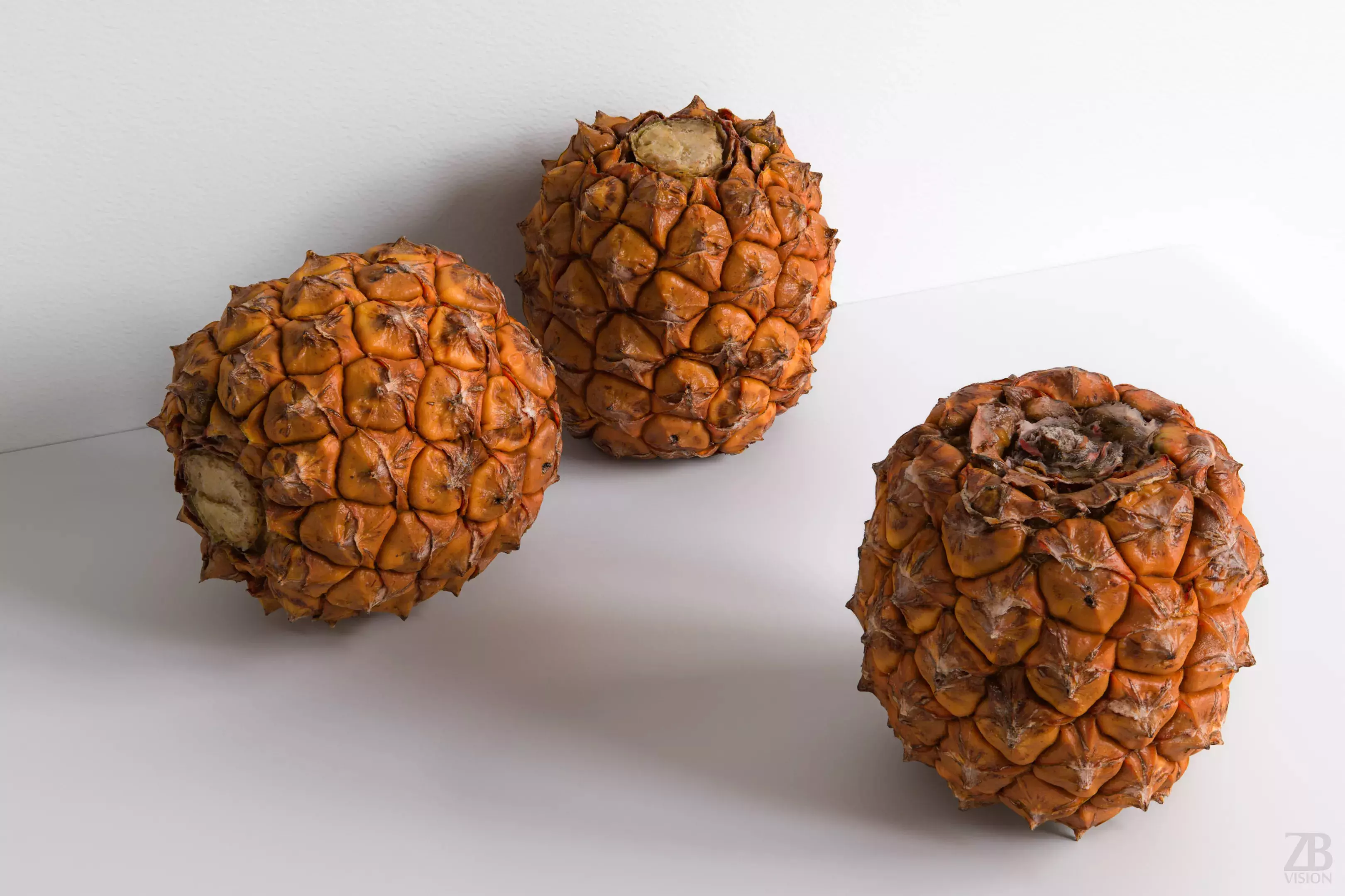 Pineapple 3D model_0