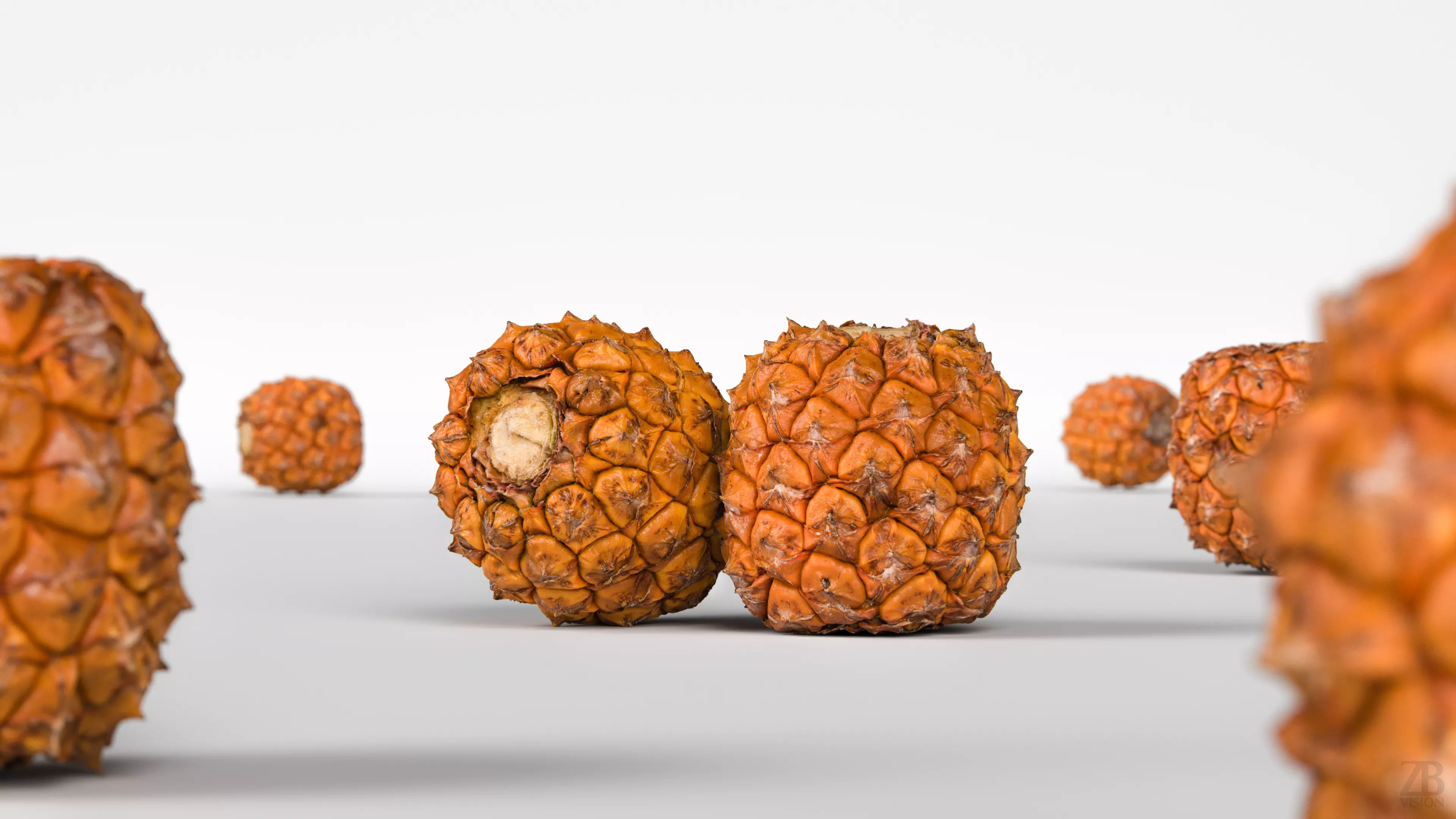 Pineapple 3D model_1