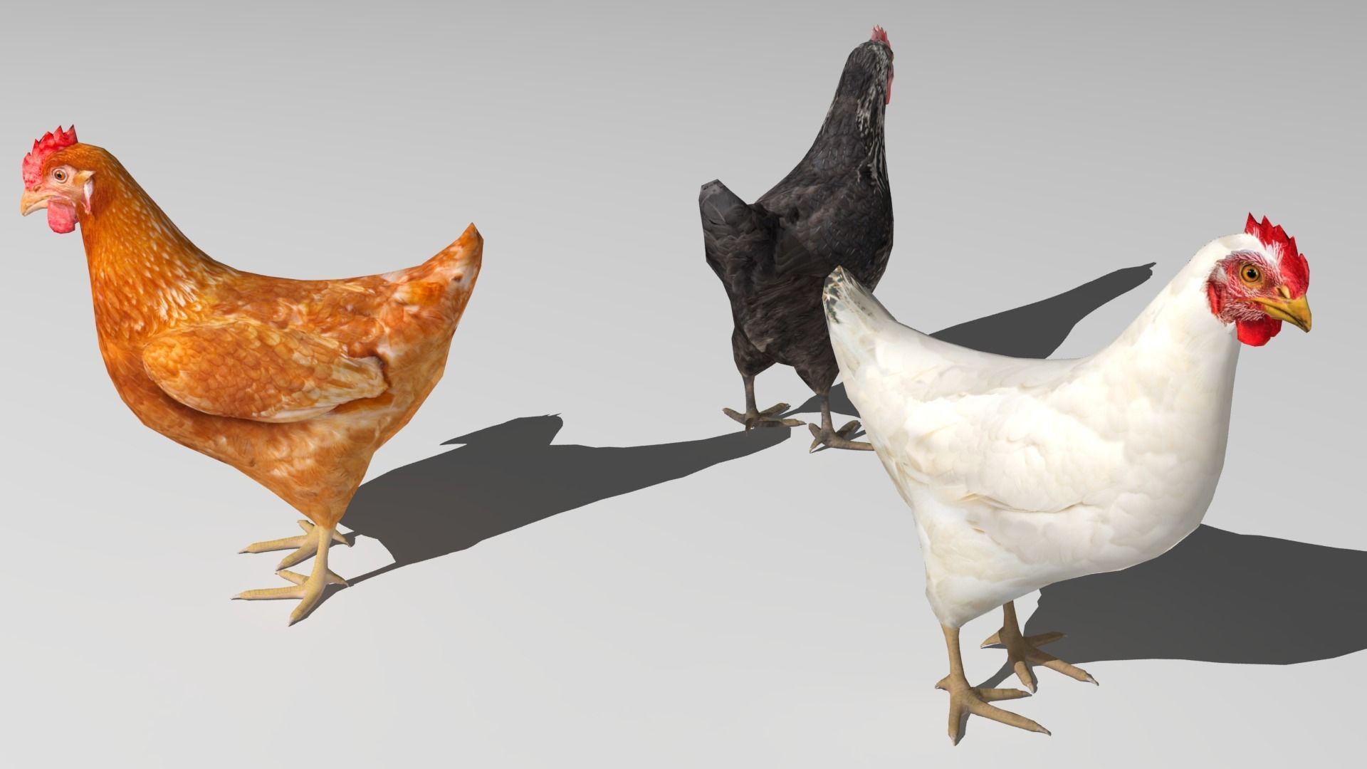 Chickens for 3d printing Low-poly 3D model_14