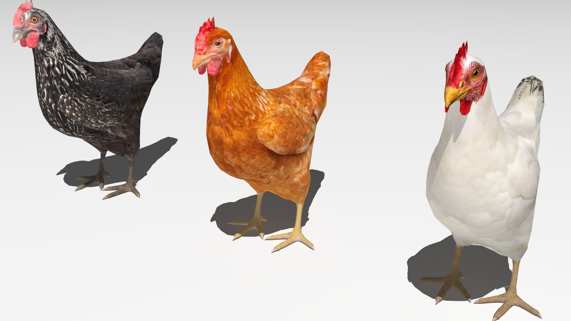 Chickens for 3d printing Low-poly 3D model_26