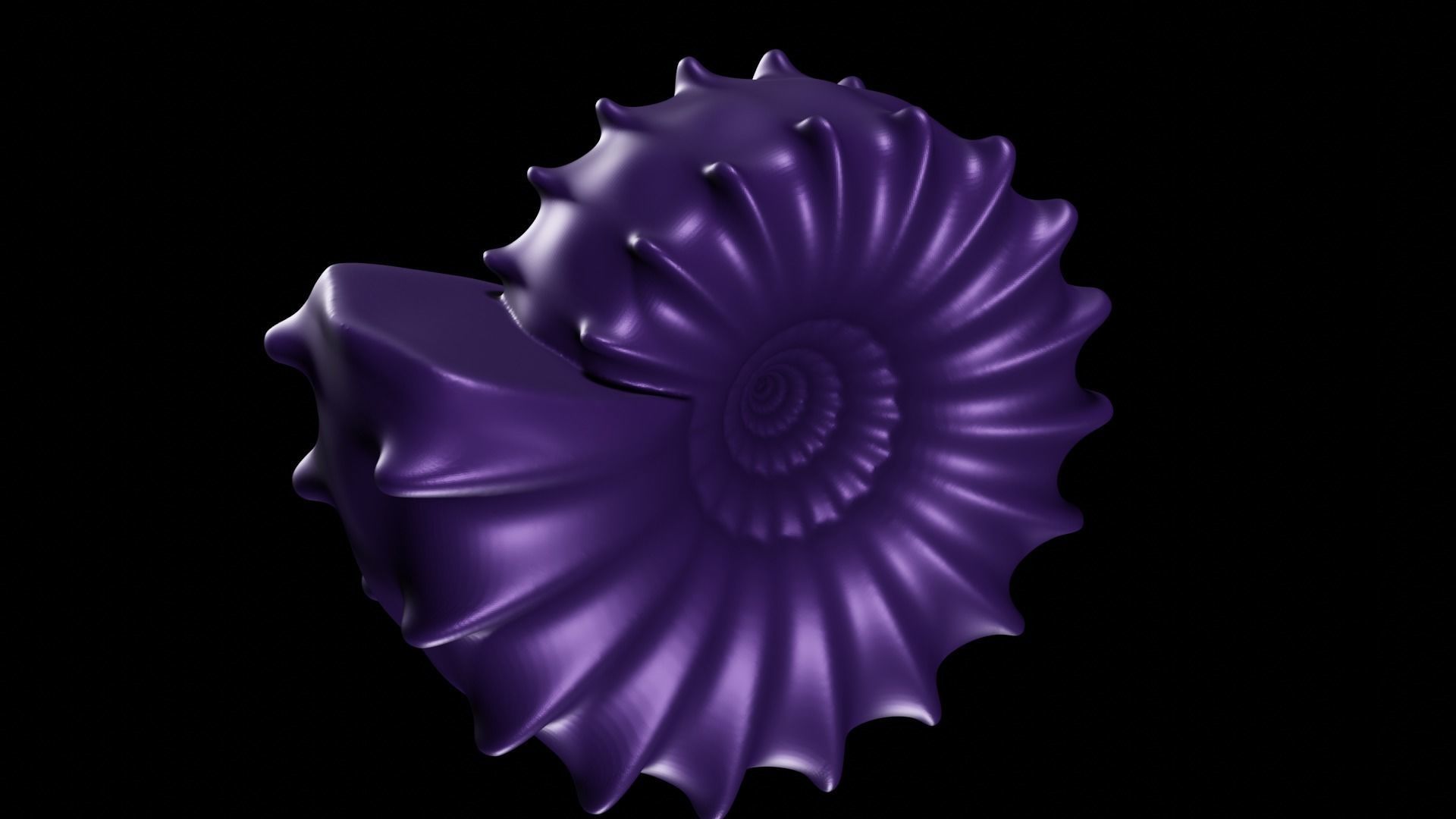 Tumaricone Shell Ventral Nodes 3D print model_5