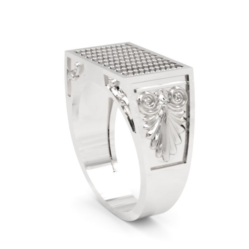 Men Diamond Ring 3D Printable Ornamental Jewelry Design 3D print model_4