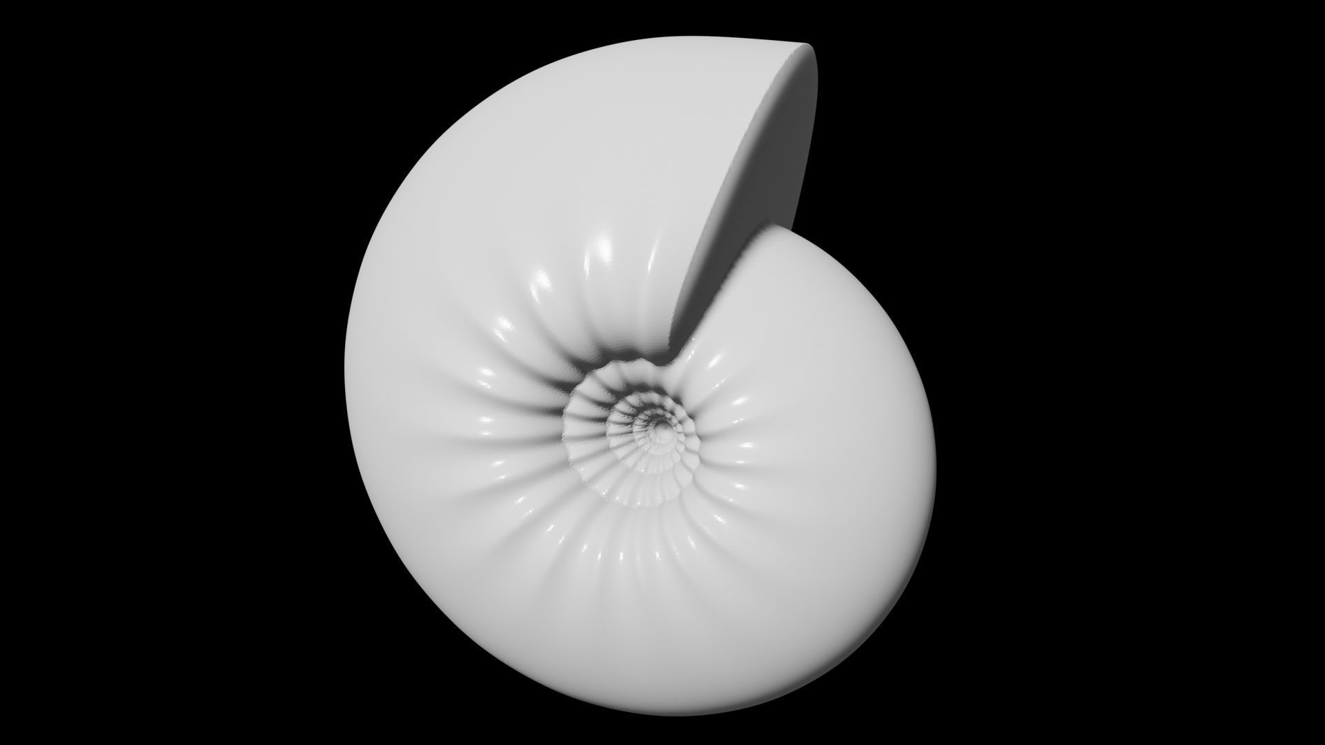 Spherocone Conch Ornamented 3D print model_9