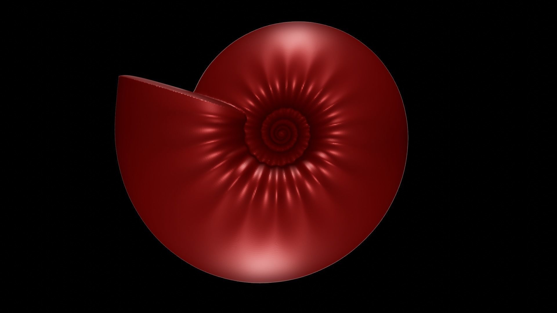 Spherocone Conch Ornamented 3D print model_1