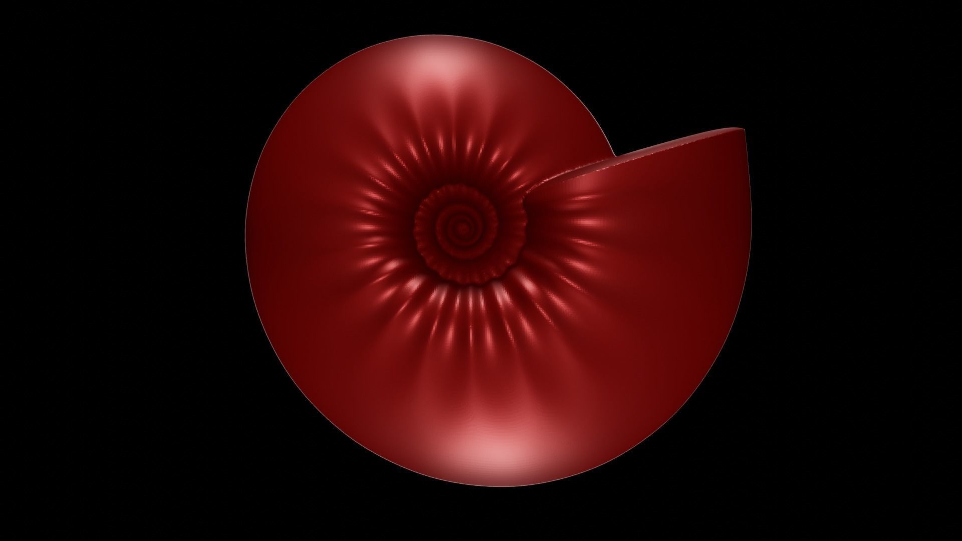 Spherocone Conch Ornamented 3D print model_3