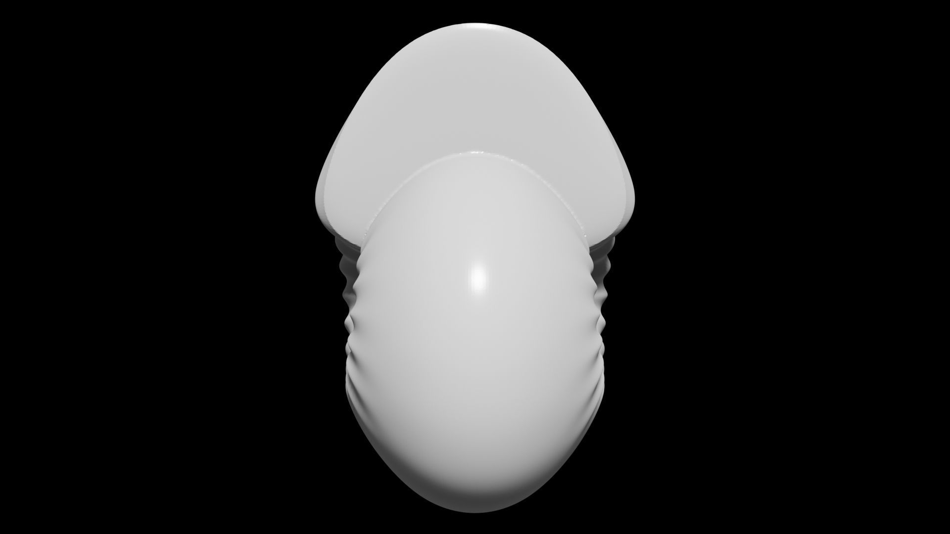 Spherocone Conch Ornamented 3D print model_8