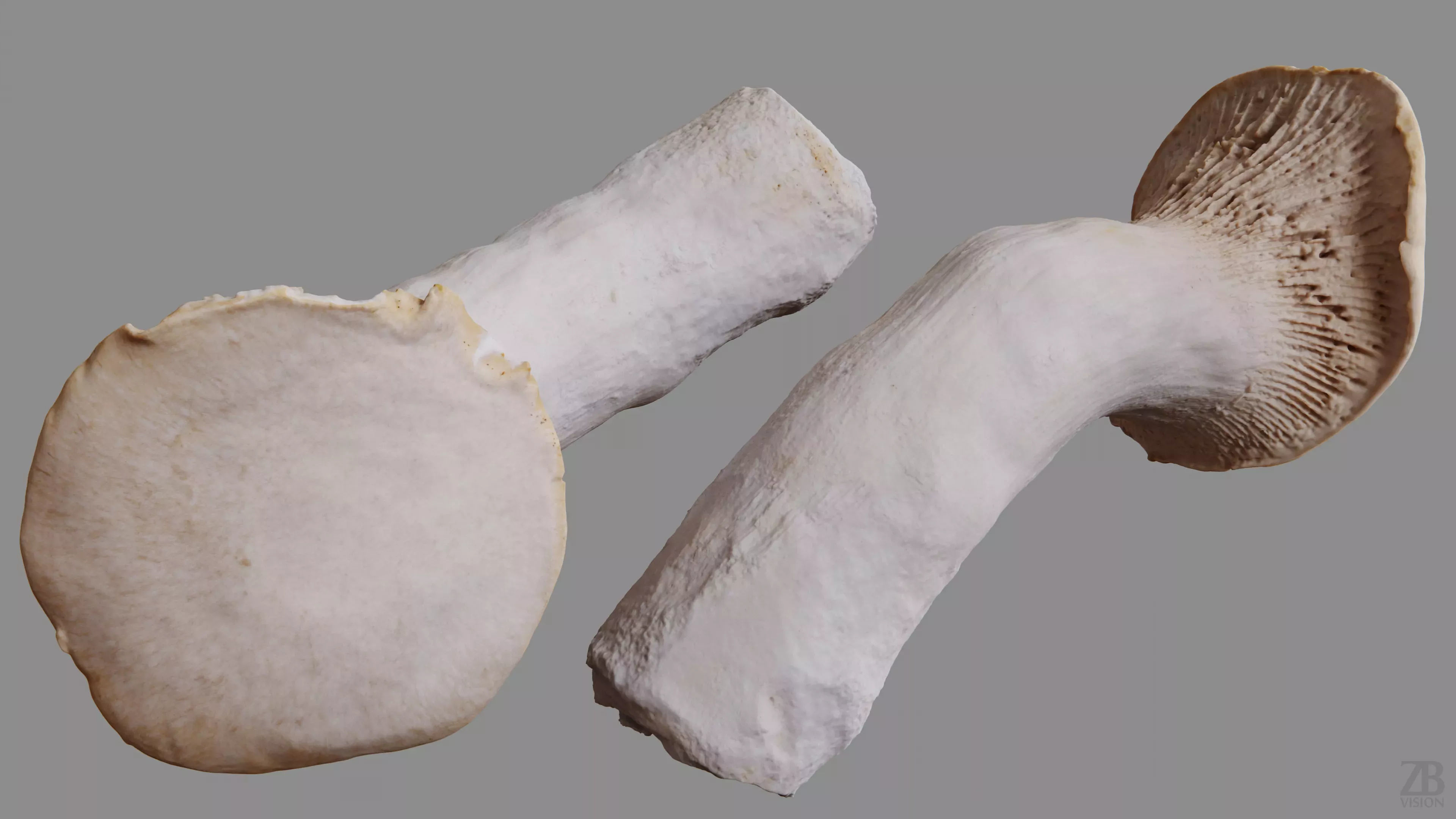 Mushroom 3D model_9