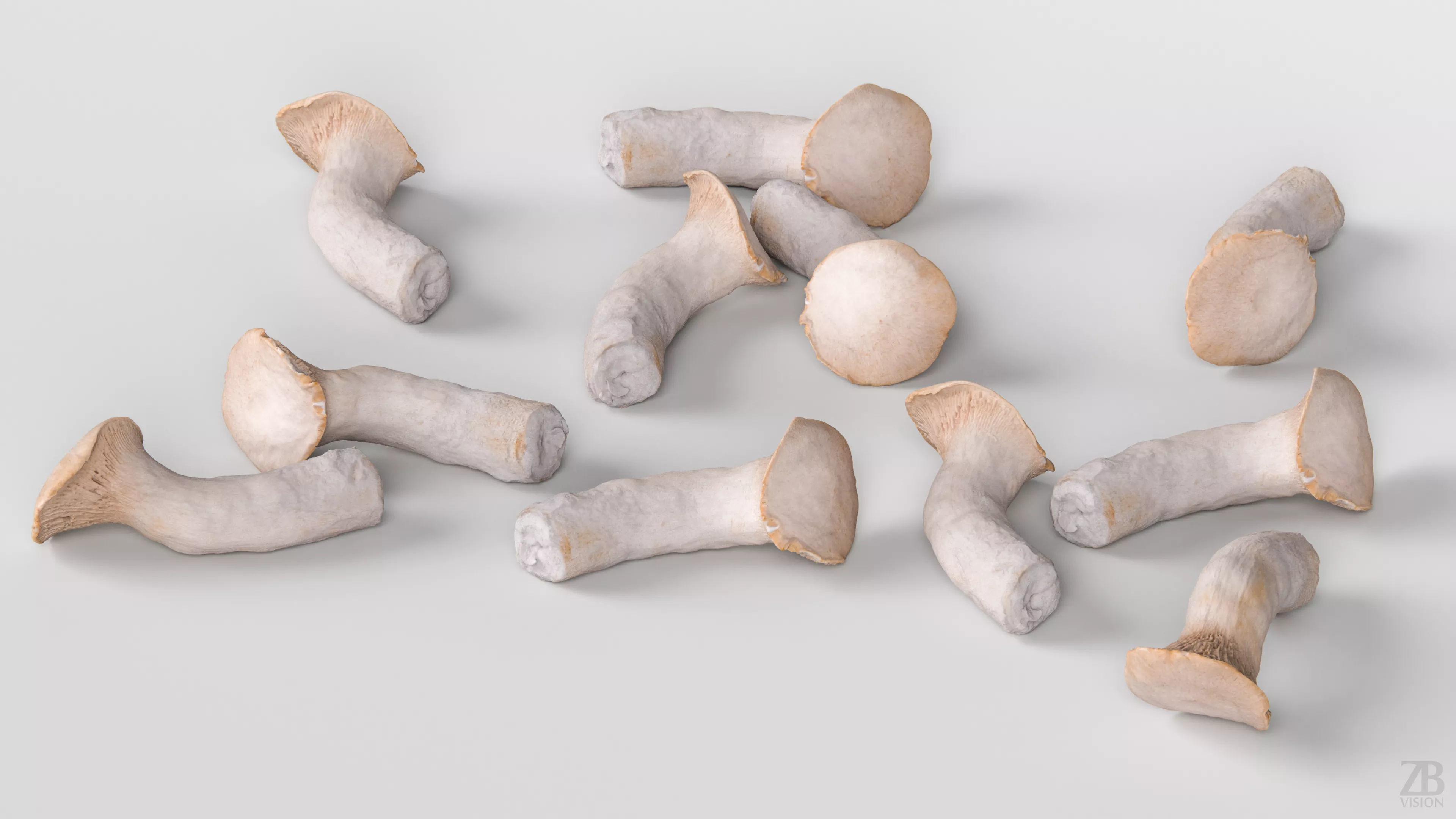 Mushroom 3D model_2