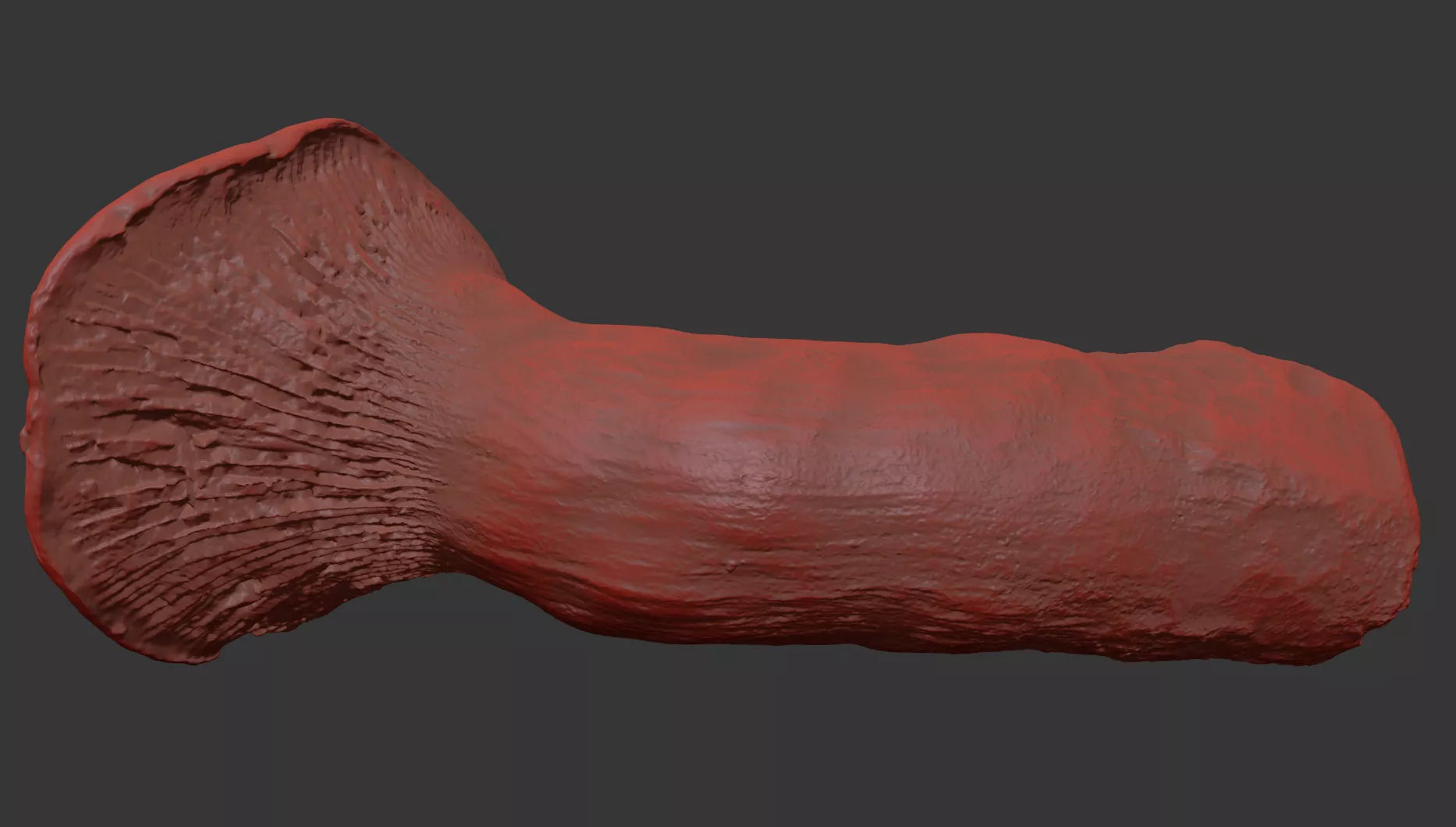 Mushroom 3D model_7