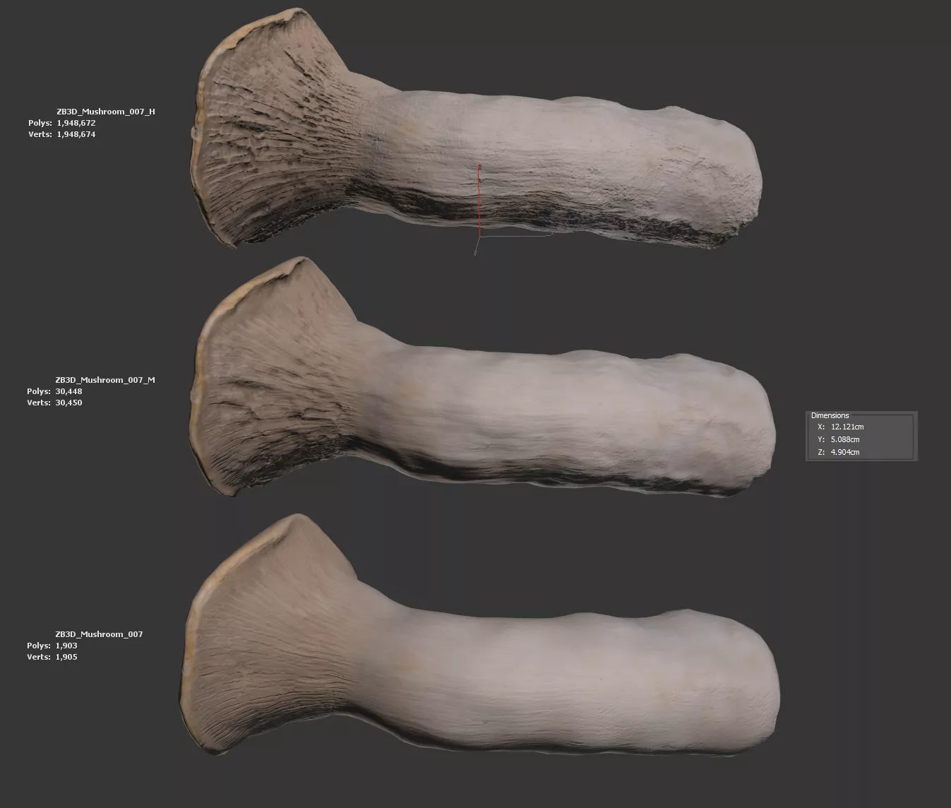 Mushroom 3D model_5