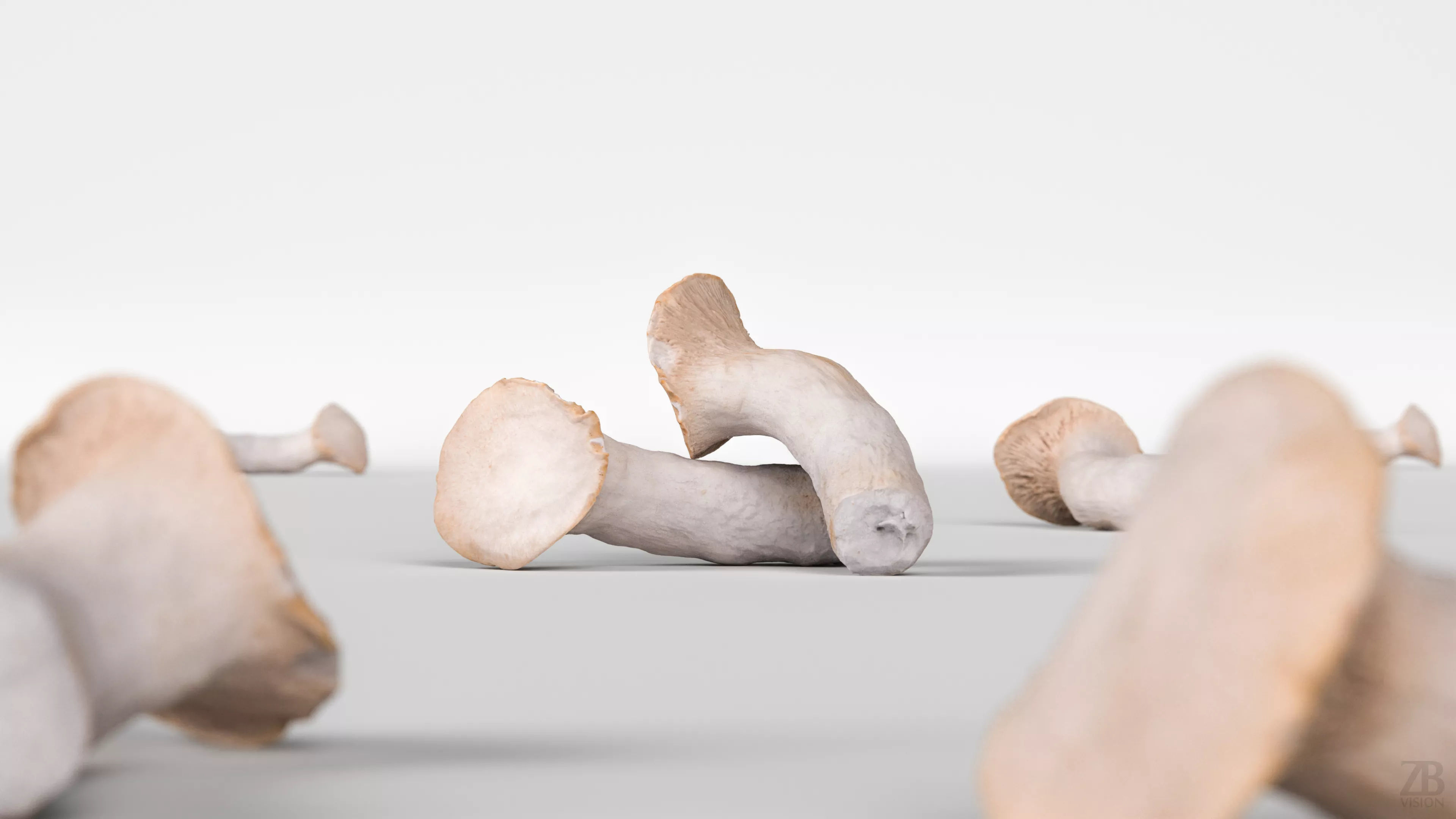 Mushroom 3D model_1