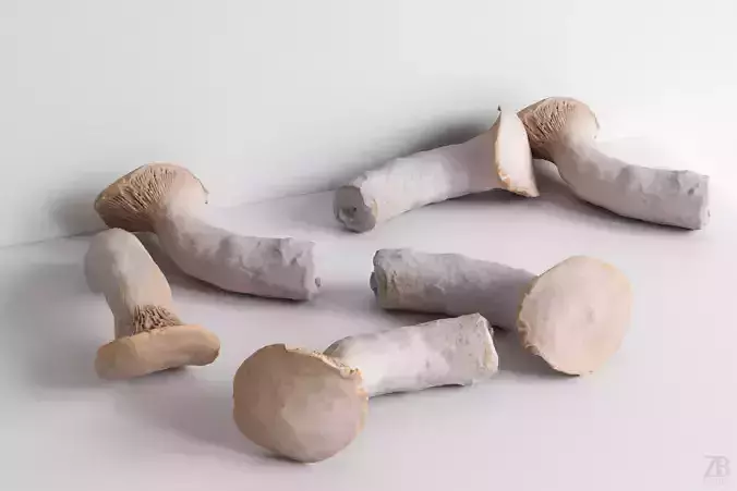 Mushroom 3D model