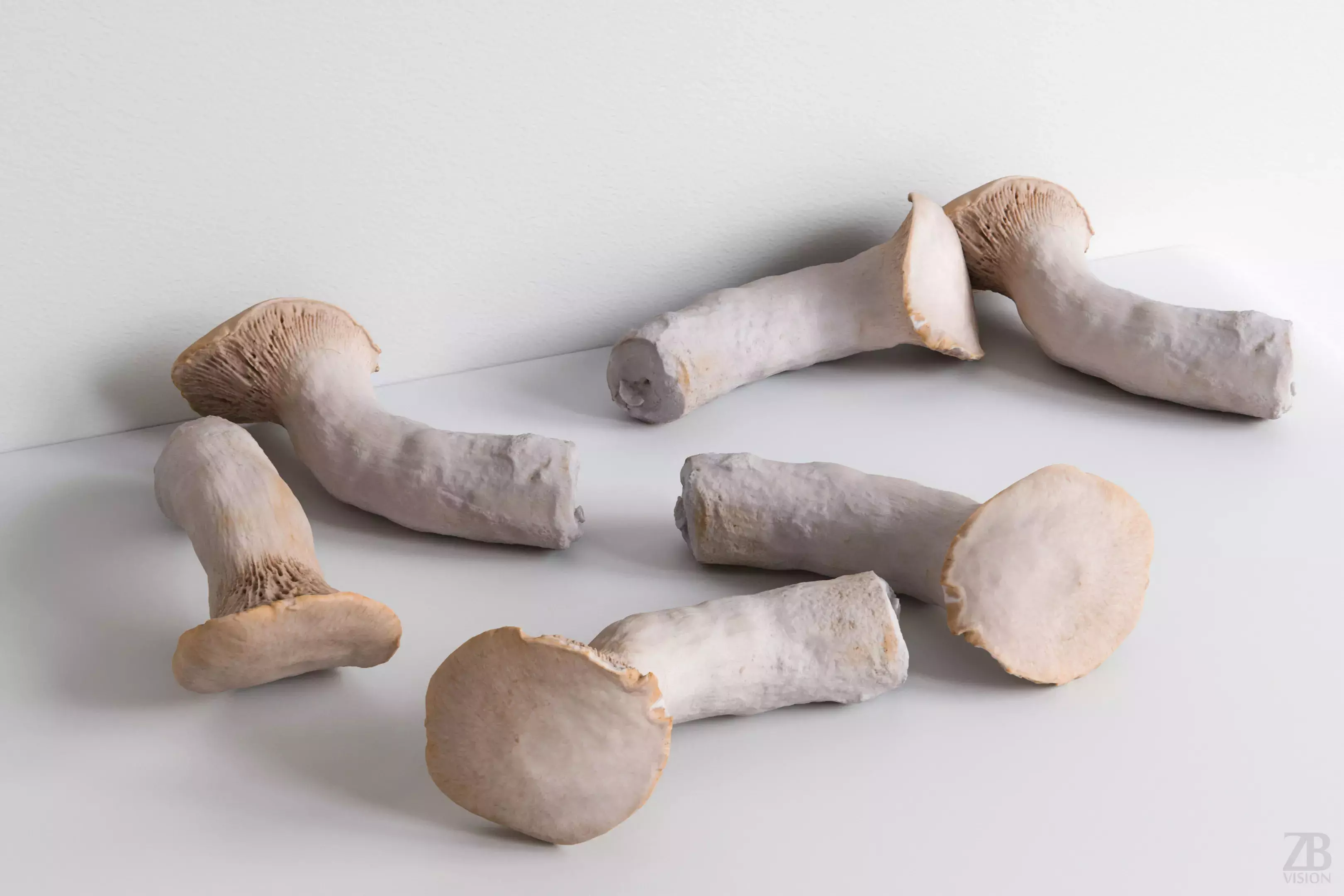 Mushroom 3D model_0