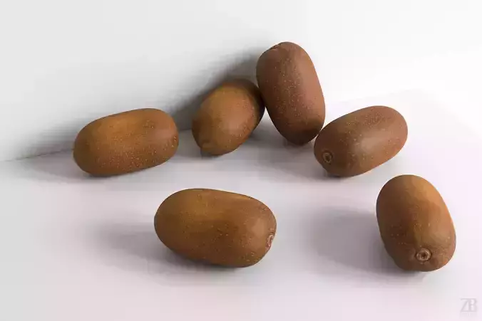 Kiwi  3D model