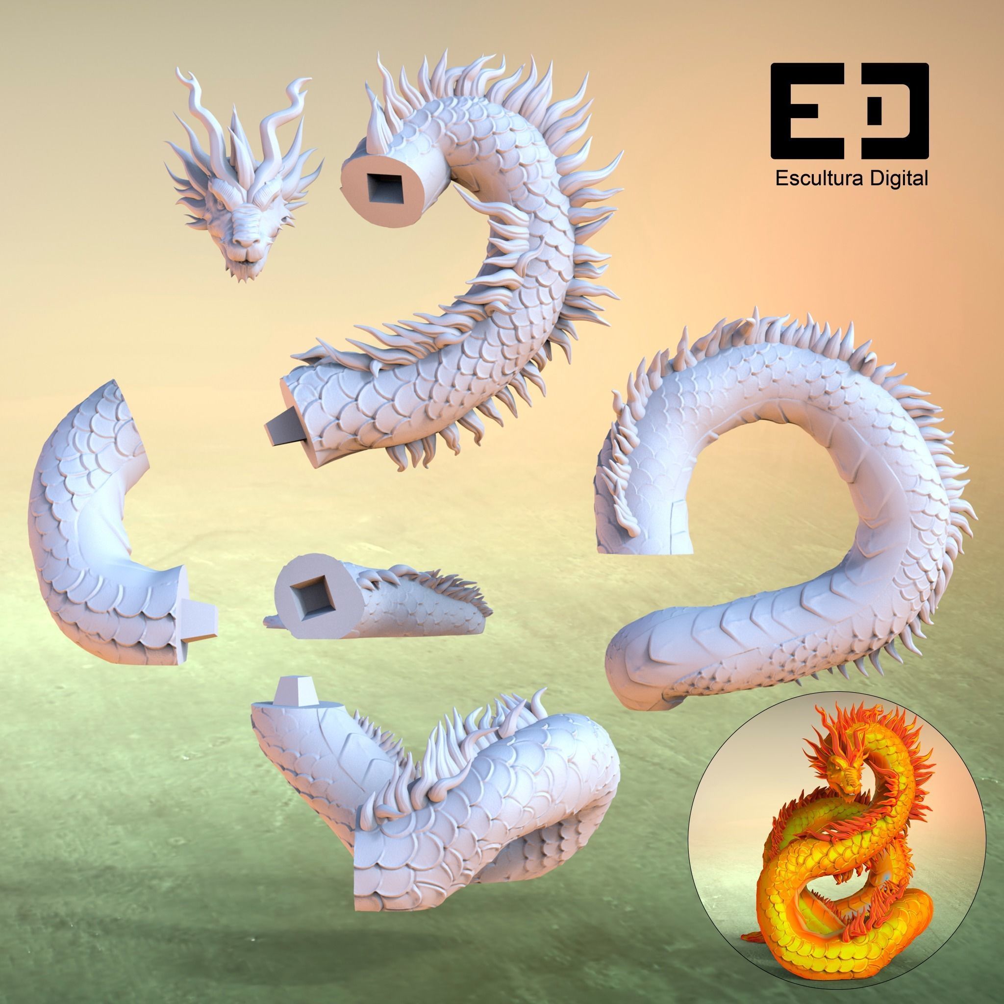 Dragon chino - Chinese dragon 3D print model_1
