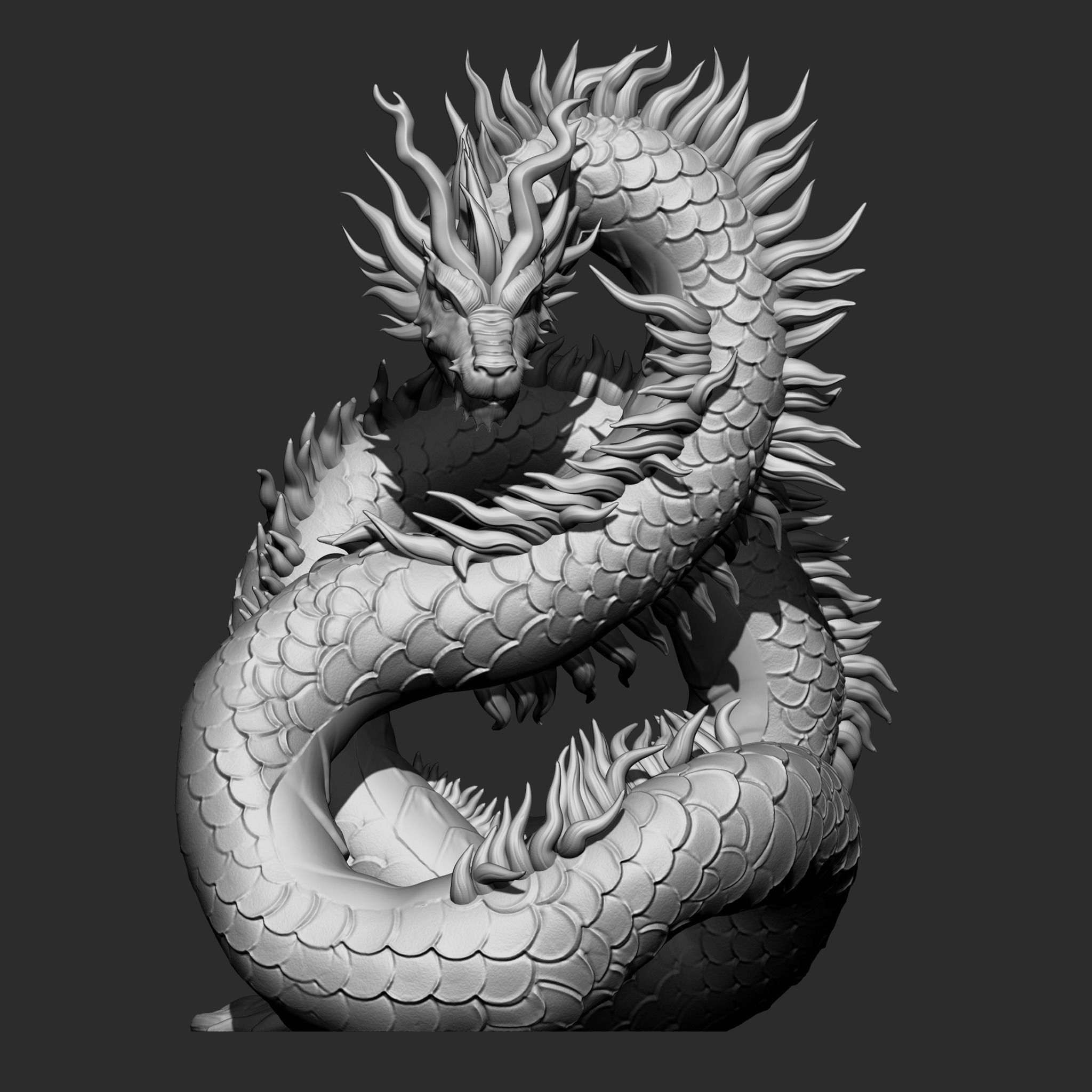 Dragon chino - Chinese dragon 3D print model_8