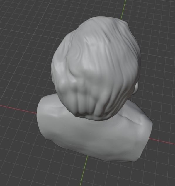 Aaron Swartz 3D print model_17