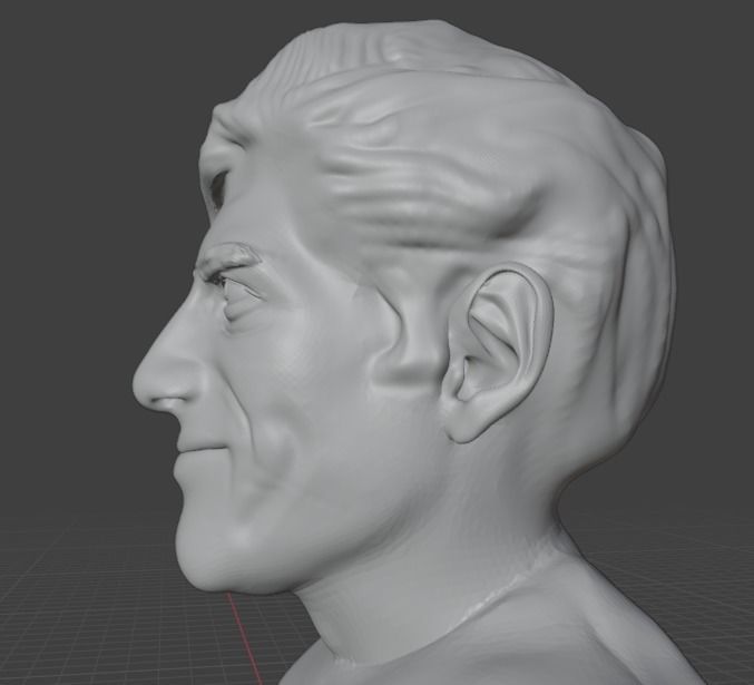 Aaron Swartz 3D print model_5